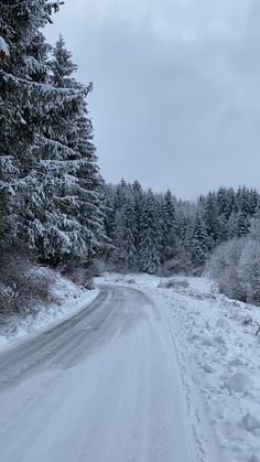 a snow covered road surrounded by pine trees