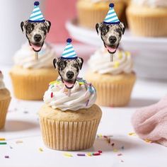 some cupcakes with pictures of dogs on them and sprinkles around them