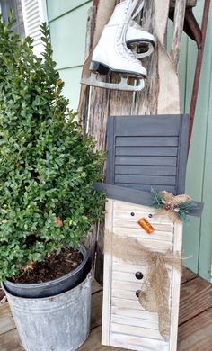 there is a planter with some ice skates on it next to a potted tree