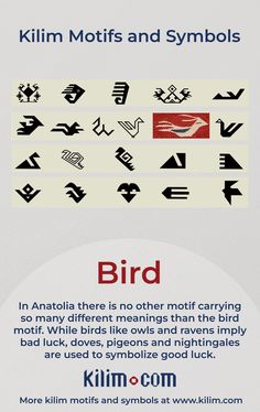 an advertisement with different types of symbols on it's back side and the words bird in