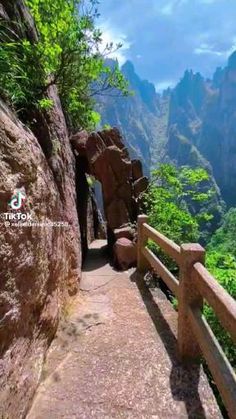 a man standing on top of a wooden railing next to a lush green forest covered hillside