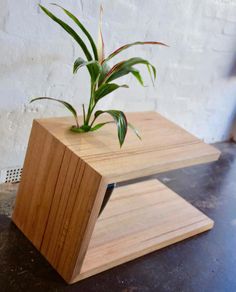 a plant is sitting on top of a wooden stand