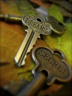 three keys sitting on top of a leaf with the words dreams and secrets written on them