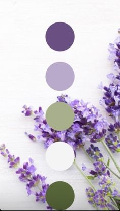 some purple flowers and white circles on a wooden table with the colors green, purple, and grey