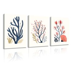 three canvases with different types of seaweed and corals on them, one is white