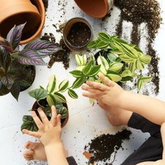 two children are holding plants in their hands while sitting on the floor next to potted plants