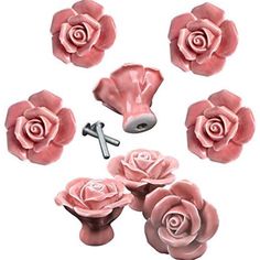 pink roses are arranged in the shape of buttons and screws on a white background