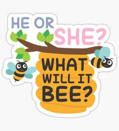 a sticker that says, he or she? what will it bee?