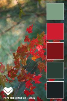 the color palette is red, green and yellow