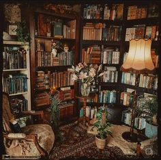 a living room filled with lots of books on top of a book shelf next to a lamp