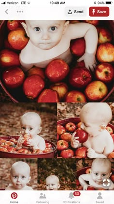 an iphone photo collage with apples and babies