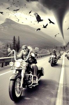 a group of bikers riding down the road with birds flying over their heads in the sky