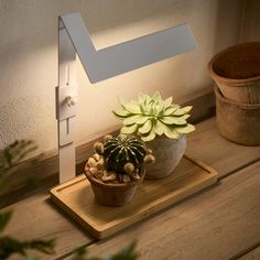 a small potted plant sitting on top of a wooden tray next to a light