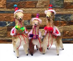 three llamas wearing christmas hats and scarves are standing next to each other