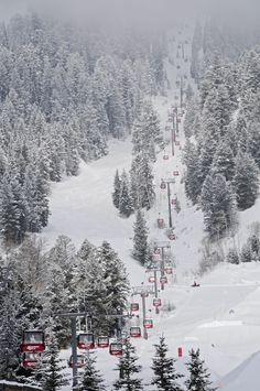 a ski lift going up the side of a snow covered mountain with lots of trees