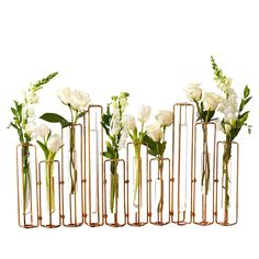 six vases with flowers in them on a white background