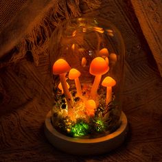 a group of mushrooms in a glass dome with moss and lights on the bottom, under a blanket