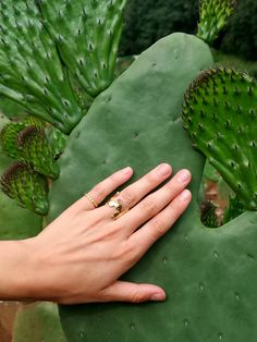 Ring handmade in Bronze 22K Gold Plated or Silver .925 with a Precious Stone. Adjustable. Size: 3x1.5cm Choose your stone ! - Ruby - Sapphire - Esmerald - Swarovski The Fleur de Cactus line is inspired by the desert and its mysteries. I vividly remember traveling through the vast deserts of my adored Mexico, gazing through rhe window at the incredible variety of cactus that somehow grow and flourish in such arid lands... The flowers that bloom from these resiliant plants always amazed me. At tim Stone Cactus, Cactus Ring, Ruby Sapphire, 22k Gold, Mexico City, Handmade Ring, Silver 925, Precious Stones, Plant Leaves