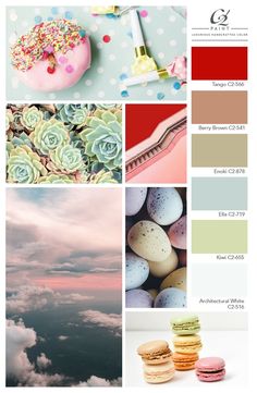 the color scheme for this website shows different colors and textures, including pinks, green,