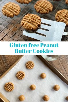 gluten free peanut butter cookies on a baking sheet