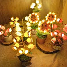 several potted plants with lights on them sitting on a table next to each other