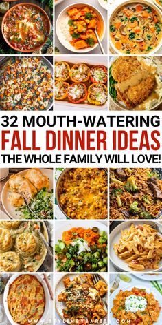 fall dinner recipes Fall Recipes For Family, Fall Dinner Recipes With Chicken, Easy Dinners That Look Fancy, Meals For Fall Dinners, Easy Yummy Fall Dinners, Dinner Ideas Easy Fall, Fall Easy Dinners Healthy, Early Fall Dinner Ideas, Autumn Dinners Healthy