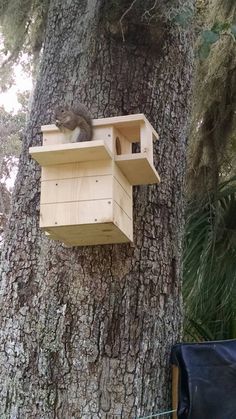 a squirrel sitting on top of a wooden bird house hanging from a large tree trunk