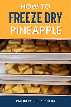 how to freeze dry pineapple in the fridge