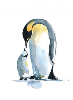 a penguin and its chick standing next to each other