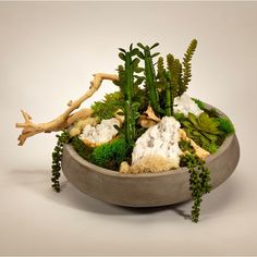 F1820CQ Decor/Faux Florals/Floral Arrangements Succulent In Pot, Planter Arrangements, Pencil Cactus, Concrete Containers, Artificial Plants And Trees, Concrete Bowl, Cactus Planter, Faux Floral Arrangement, Preserved Moss