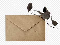 an envelope with leaves on it and a string attached to the front, against a white background