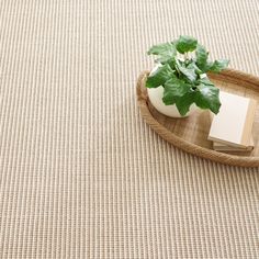 a potted plant sitting on top of a wooden tray next to a white book