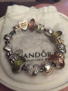 not mine Pandora Bracelet Ideas, Mode Swag, Jewelry Accessories Ideas, Stacked Jewelry