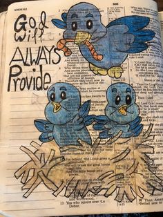 an open bible with two blue birds on it and the words god's always provide