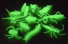 glow in the dark bugs and other insects are glowing green on a black background,