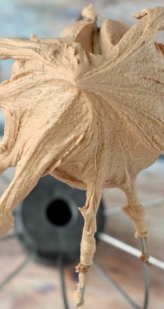 a close up view of a cake batter on a wire rack