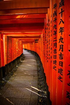 an alley lined with lots of red and orange tori toris in the middle of it