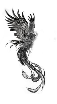 a black and white drawing of a bird flying