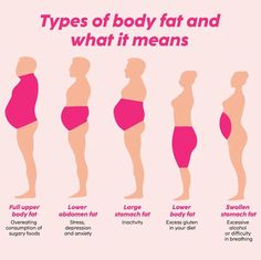 Best Fat Burning Foods Body Type Diet, Food To Gain Muscle, Lower Body Fat, Best Fat Burning Foods, Muscle Gain, Healthy Body Weight, Diet And Exercise, Teen Life Hacks, Stomach Fat