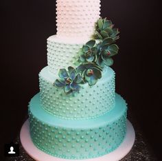 a three tiered cake decorated with succulents