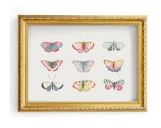 an ornate gold frame holds six framed butterflies