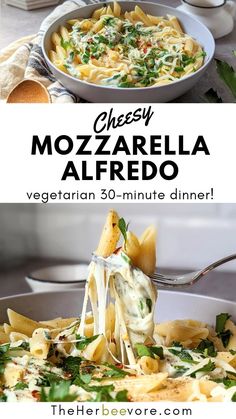 cheesey mozzarella alfredo is an easy and delicious dinner