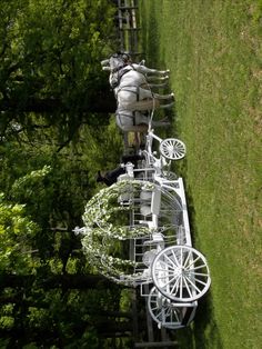 a white horse drawn carriage sitting on top of a lush green field