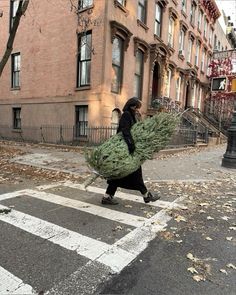 Christmas Day Aesthetic, Weihnachten Aesthetic, Nyc Christmas Tree, December Moodboard, Christmas In New York Aesthetic, Christmas Tree Farm, White Christmas Tree, Winter Wonder