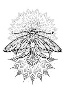 a black and white drawing of a butterfly with intricate designs on it's wings