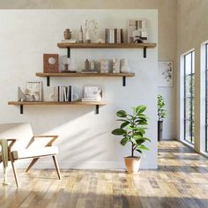 a living room with wooden floors, shelves and a plant in a pot on the wall