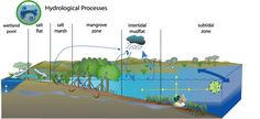 an image of water cycle diagram showing the flow of water and how it is made