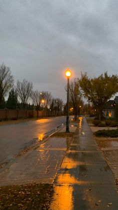 a wet sidewalk with a street lamp and trees in the background on a rainy day