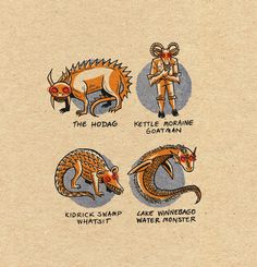 an image of different types of animals on paper