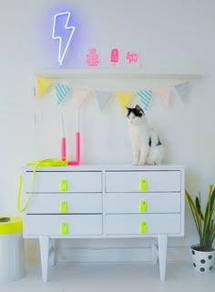 a black and white cat sitting on top of a dresser